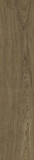 Gạch Ragno Ossimori Marrone Extra Matt Rt