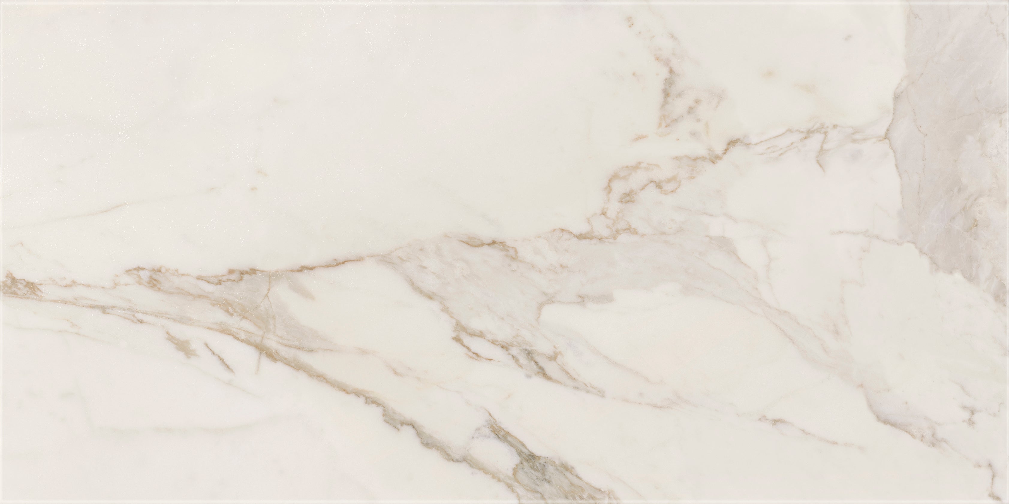 Calacatta Gold Nat 120 Tiles