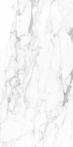 Incanto Paonazzetto Glossy Rettificato Tiles