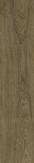 Gạch Ragno Ossimori Marrone Extra Matt Rt